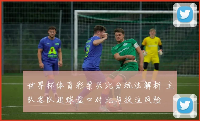世界杯体育彩票买比分玩法解析 主队客队进球盘口对比与投注风险