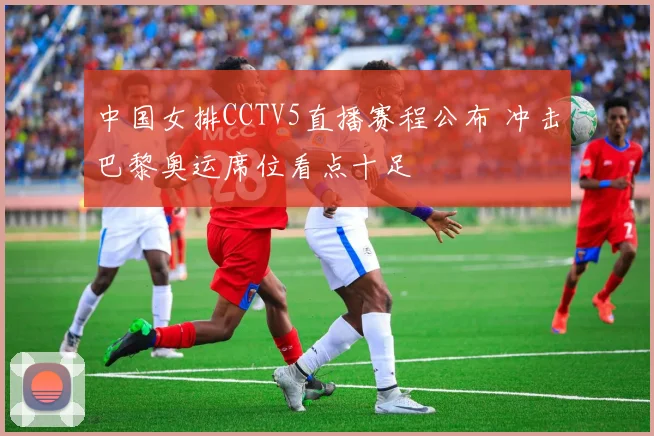 中国女排CCTV5直播赛程公布 冲击巴黎奥运席位看点十足