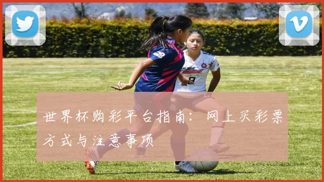 世界杯购彩平台指南:网上买彩票方式与注意事项